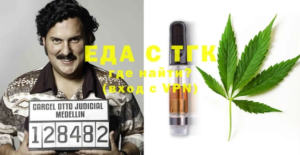 индика Вязьма
