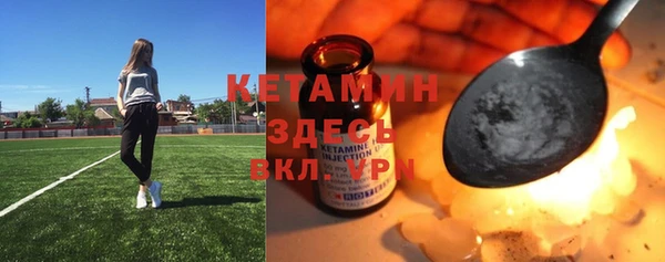 ПСИЛОЦИБИНОВЫЕ ГРИБЫ Вяземский