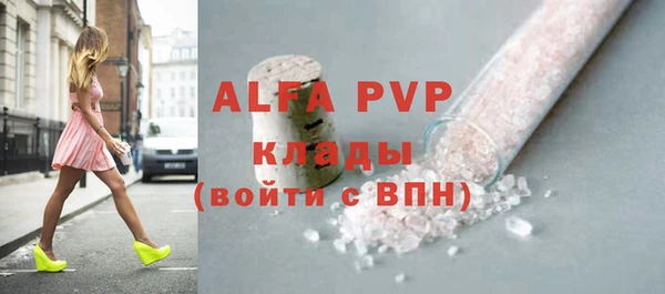 индика Вязьма