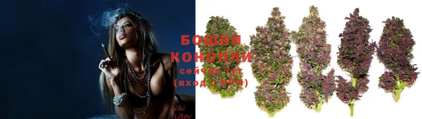 индика Вязьма