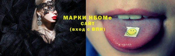 индика Вязьма