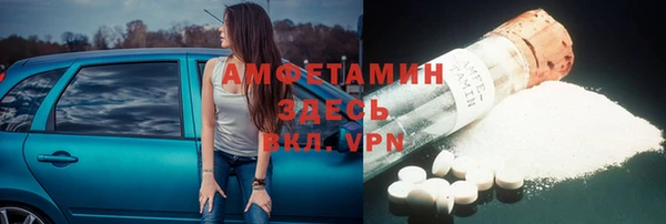 индика Вязьма