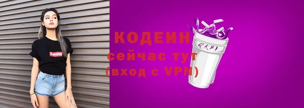 ПСИЛОЦИБИНОВЫЕ ГРИБЫ Вяземский
