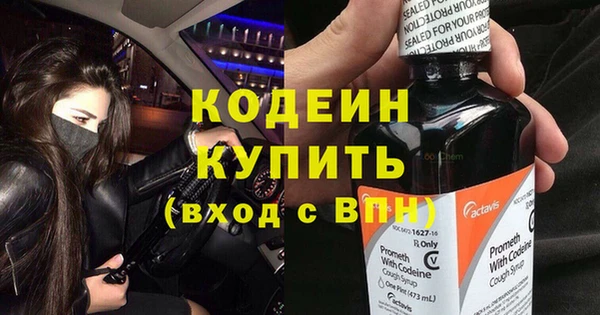 ПСИЛОЦИБИНОВЫЕ ГРИБЫ Вяземский