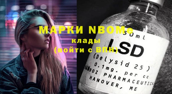 индика Вязьма