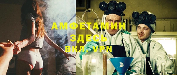 индика Вязьма