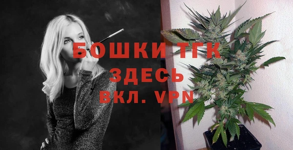 ПСИЛОЦИБИНОВЫЕ ГРИБЫ Вяземский