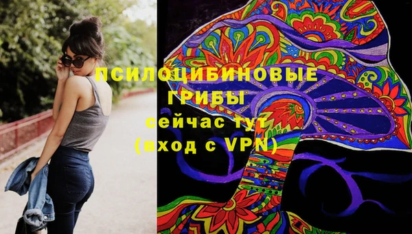 ПСИЛОЦИБИНОВЫЕ ГРИБЫ Вяземский