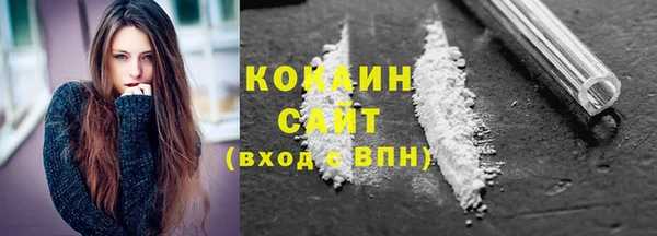 шишки Вязники